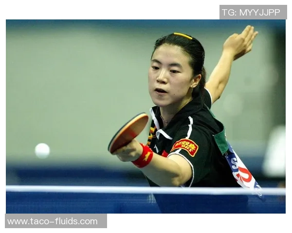 南京乒乓球队耐力对比深度解析与训练策略探讨 南京乒乓球队耐力对比深度解析与训练策略探讨