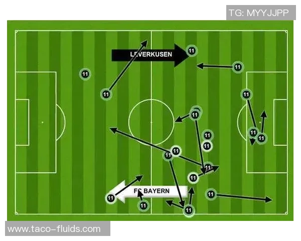 上海羽毛球队整体压制战术解析与实战应用探讨