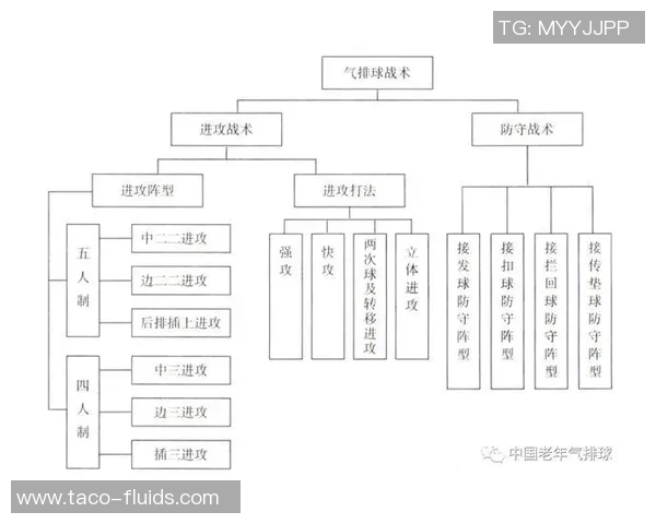 深圳排球队的战术控制与排球热点深度解读