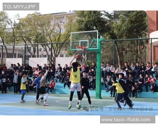 武汉篮球队的节奏揭秘：激情与技巧交织的篮球盛宴