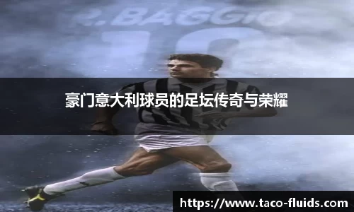 MK体育官网