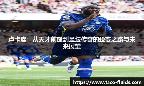 MK体育