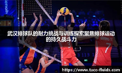 MK体育官网