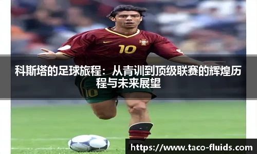MK体育